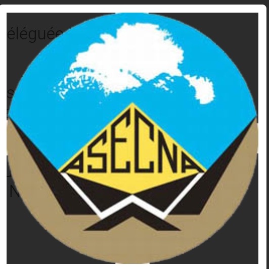 Logo ASECNA